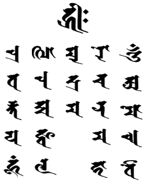 ũ 